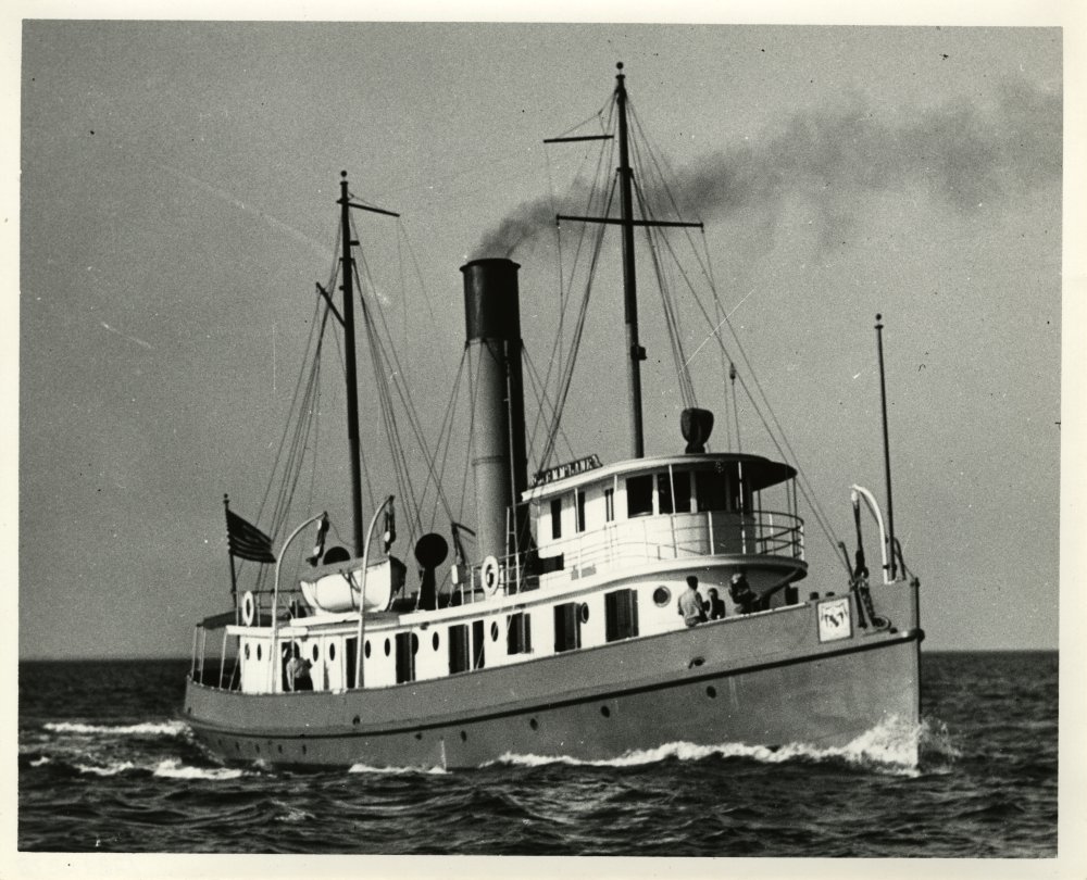 98-282 (click for large image)